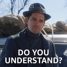 Do You Understand Mike Carr GIF - Do You Understand Mike Carr The Marvelous Mrs Maisel GIFs