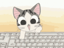Type Type Cute GIF - Type Type Cute Cat GIFs