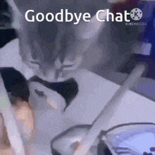 Goodbye Chat Cat GIF - Goodbye Chat Cat Cats GIFs