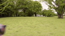 a lush green field with trees and a building in the background