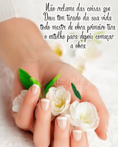 Bom Dia Good Morning GIF - Bom Dia Good Morning Sayings - Discover & Share  GIFs