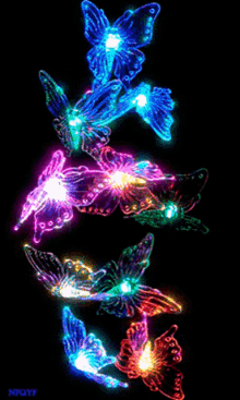 Butterfly Colorful GIF - Butterfly Colorful GIFs