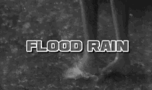 Flood Rain Flooding GIF - Flood Rain Flooding Flood GIFs