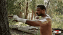 Punching The Tree Adonis Creed GIF - Punching The Tree Adonis Creed Creed3 GIFs