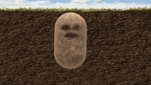 Potatoe Agus GIF