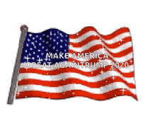 Trump2020 America GIF - Trump2020 America American Flag GIFs