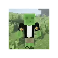a minecraft character with a green face is standing in a field of grass .