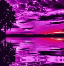 Water Purple GIF - Water Purple Orean GIFs