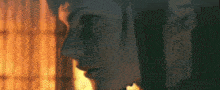 a close up of a woman 's face with a fire in the background .