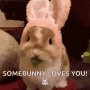 Bunny Easterbunny GIF - Bunny Easterbunny Rabbit GIFs