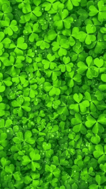 may your troubles be less blessings be more happy st patricks day leaf clovers