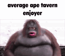 Ape Tavern GIF