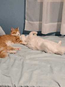 Just Chilling GIF - Just Chilling GIFs