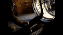 Drums Cat GIF - Drums Cat Cute GIFs