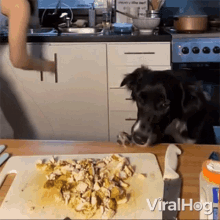 a dog is looking at a pile of chicken on a cutting board while a woman prepares food .