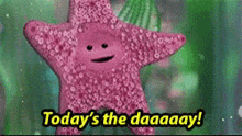 a pink starfish with a face and the words `` today 's the daaaay '' .