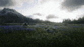 a man riding a horse in a field of flowers
