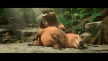 Capy Capybara GIF - Capy Capybara Ok I Pull Up GIFs