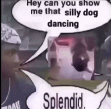 Dance Dog GIF - Dance Dog Splendid GIFs