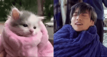 Dolliekyu Jungkook Cat GIF