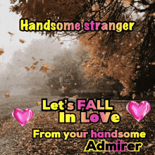 a poster that says handsome stranger let 's fall in love