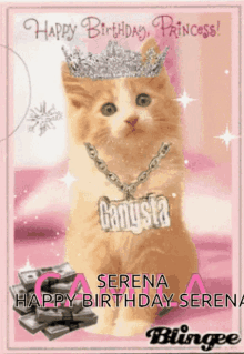 Happy Birthday Serena Serena Birthday GIF - Happy Birthday Serena Serena Birthday Cat Birthday GIFs