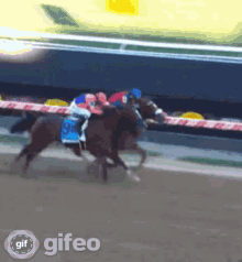 Horseracing Swissskydiver GIF - Horseracing Horse Swissskydiver GIFs