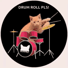 Drumroll Cute GIF - Drumroll Cute Cat GIFs