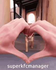 a person is making a heart shape with their hands in front of a dog