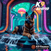 a poster for k9 airdrop with a german shepherd laying in the water
