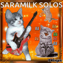 Saramilk Saramilk Solos GIF - Saramilk Saramilk Solos Cats GIFs
