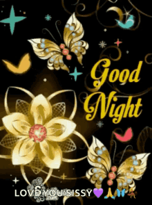 good night butterflies flowers sparkling love you sissy