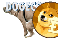 a dog standing next to a doge coin that has the letter e on it