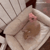 a rabbit is laying on a dog bed with a pink teddy bear on top .
