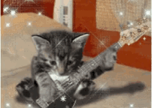 Kitten Rock Start GIF - Kitten Rock Start Rock Start Cat GIFs