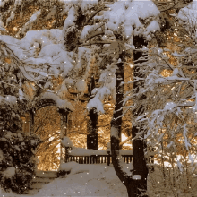 Holiday Snow GIF - Holiday Snow Winter GIFs