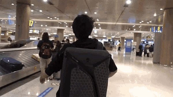 Suitcase Travel GIF - Suitcase Travel Leaving - Discover & Share GIFs