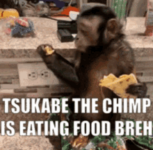 chimp eating tsukabe