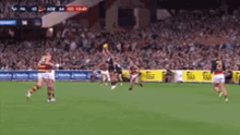 Crows Adelaide GIF - Crows Adelaide Afl GIFs