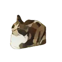 a brown and white cat is laying down and looking at the camera