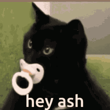 Hey Ash GIF
