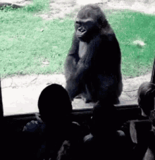 Gorilla Shut Up GIF - Gorilla Shut Up Funny Animals GIFs
