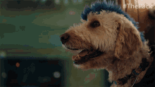 Panting The Pack GIF - Panting The Pack Mouth Open GIFs