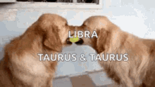 Zodiac Taurus GIF - Zodiac Taurus Libra GIFs