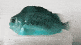 a blue fish with black spots sits on top of a plastic container