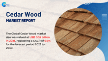 Cedar Wood Market Report 2024 GIF - Cedar Wood Market Report 2024 GIFs
