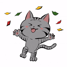 cute cat kitty gray celebrate