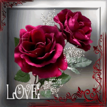 rose love