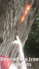 Beyond The Tree Fire Burns GIF - Beyond The Tree Fire Burns GIFs