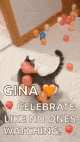 Cat Balloons GIF - Cat Balloons GIFs
